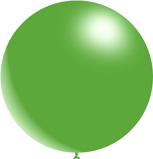 Dtex Fash 3ft Mint Green 2pk