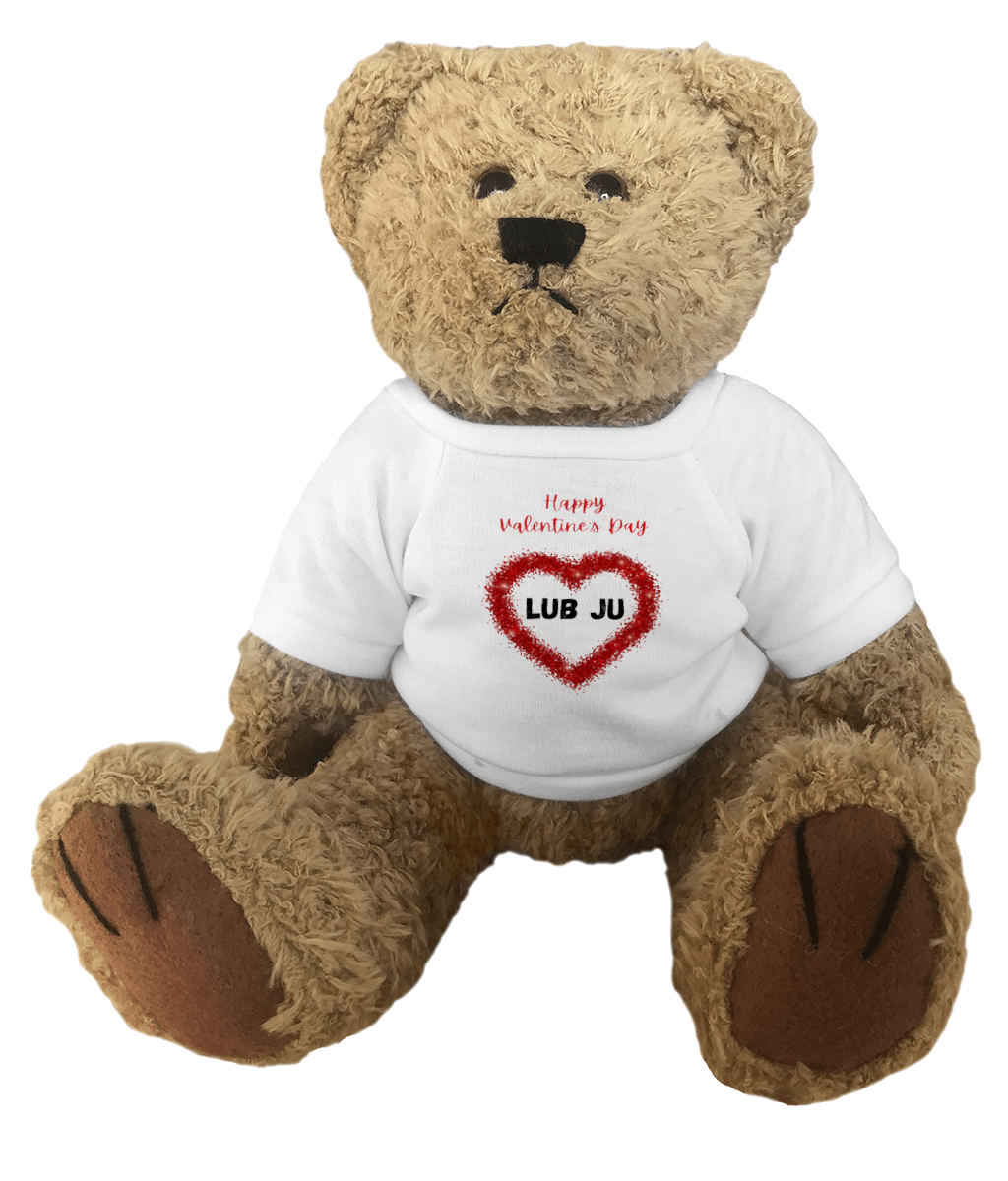 Teddy Bear Wearing Valentine's Day Red Heart "LUB JU" T-Shirt. This is A Lovely, Sweet and Funny Valentine's Day Gift With Some Indian Humour!