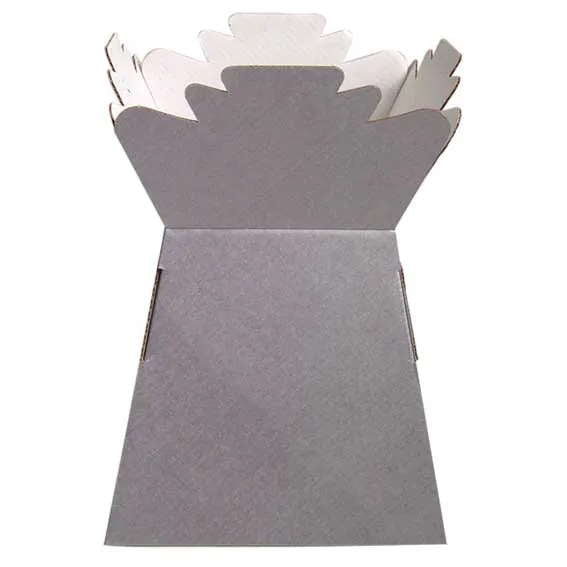 Living Vase Box Silver
