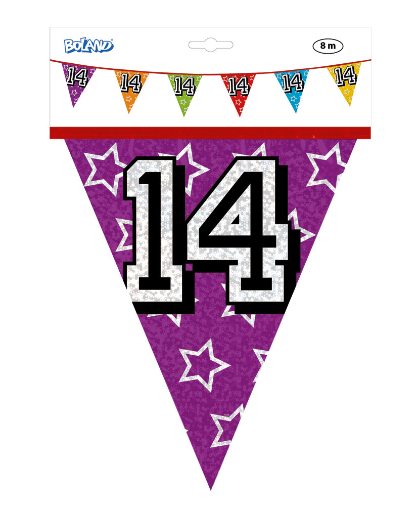 Holographic 14th Bunting