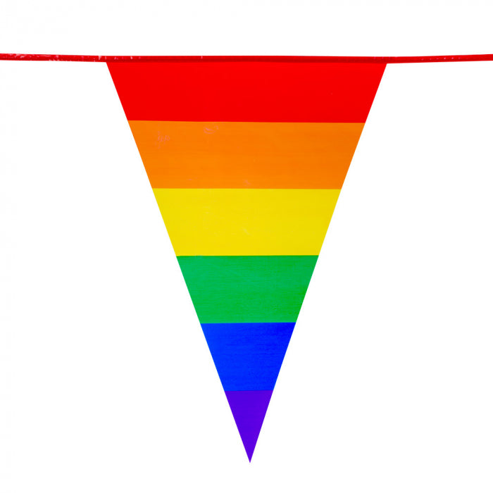 PE Giant bunting Rainbow 8m