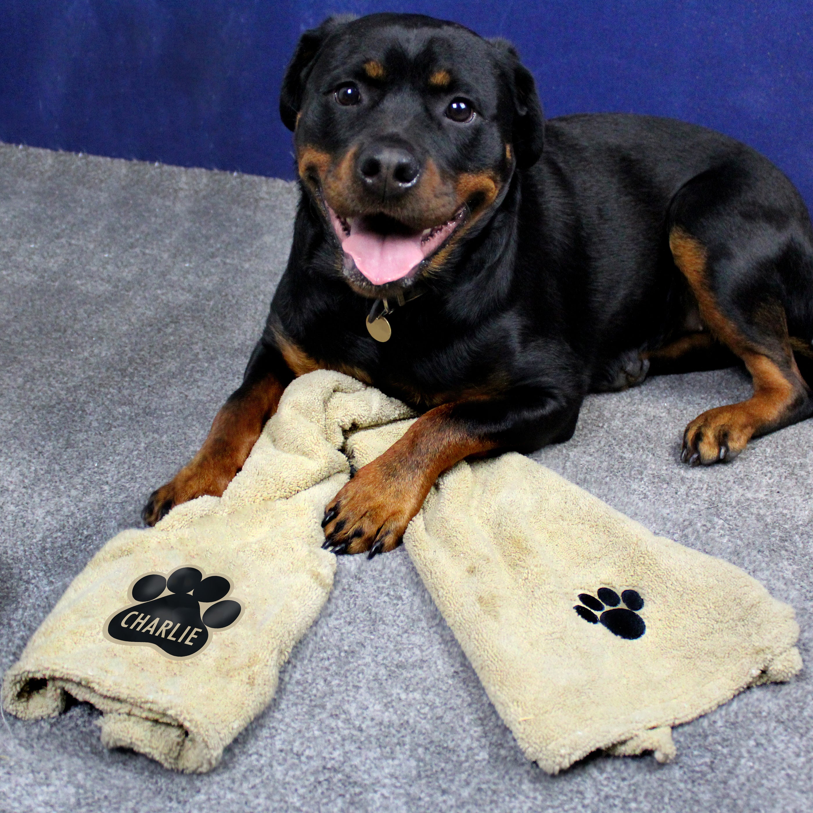 Personalised Paw Print Brown Microfibre Pet Towel