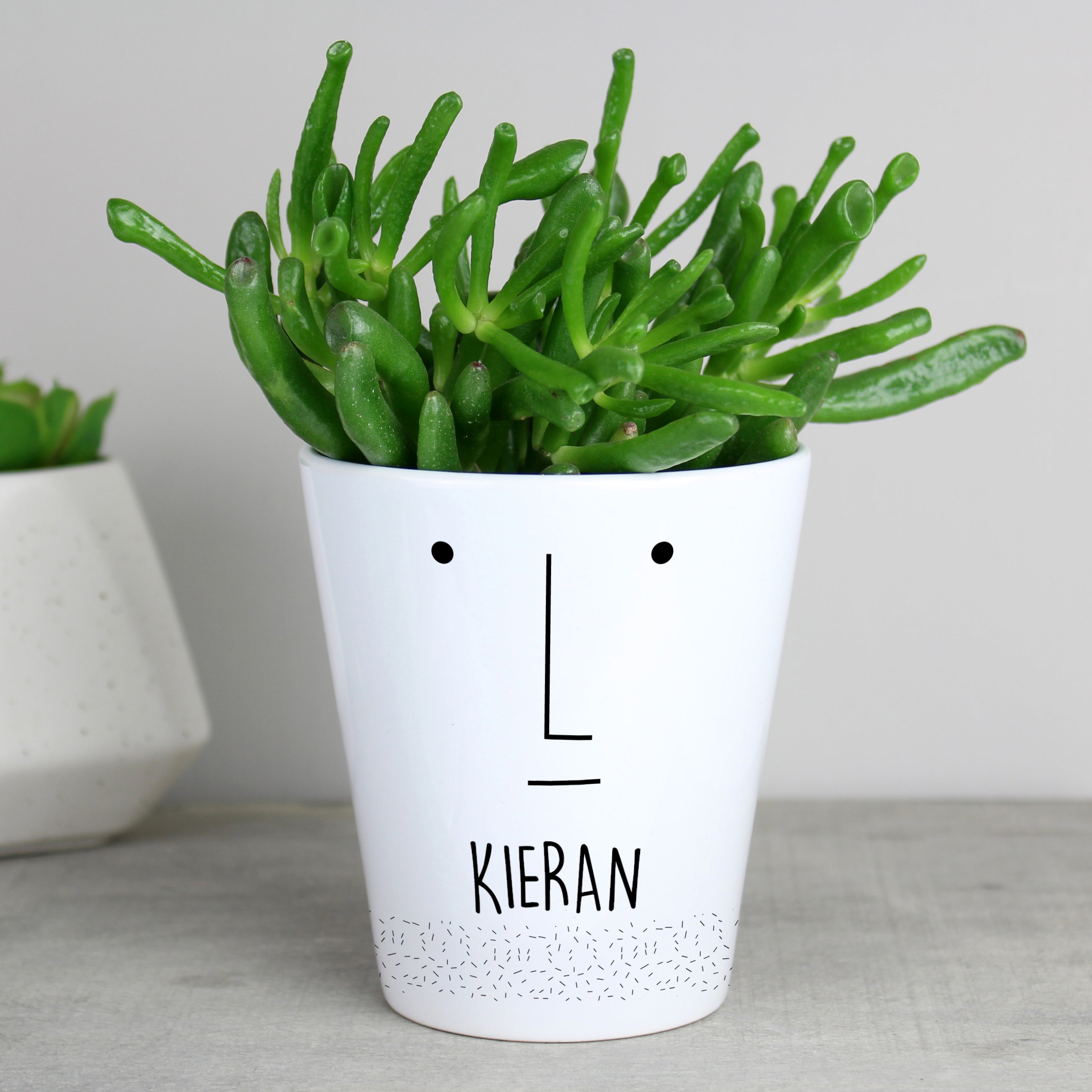 Personalised 'Mr Face' Plant Pot