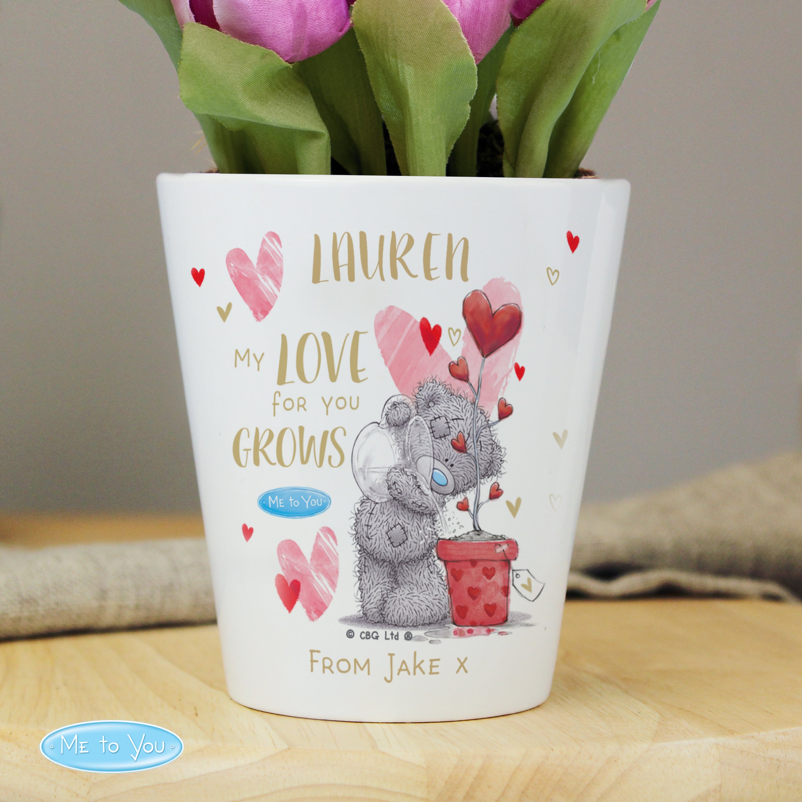 Personalised Me To You Hold You Forever Plant Pot