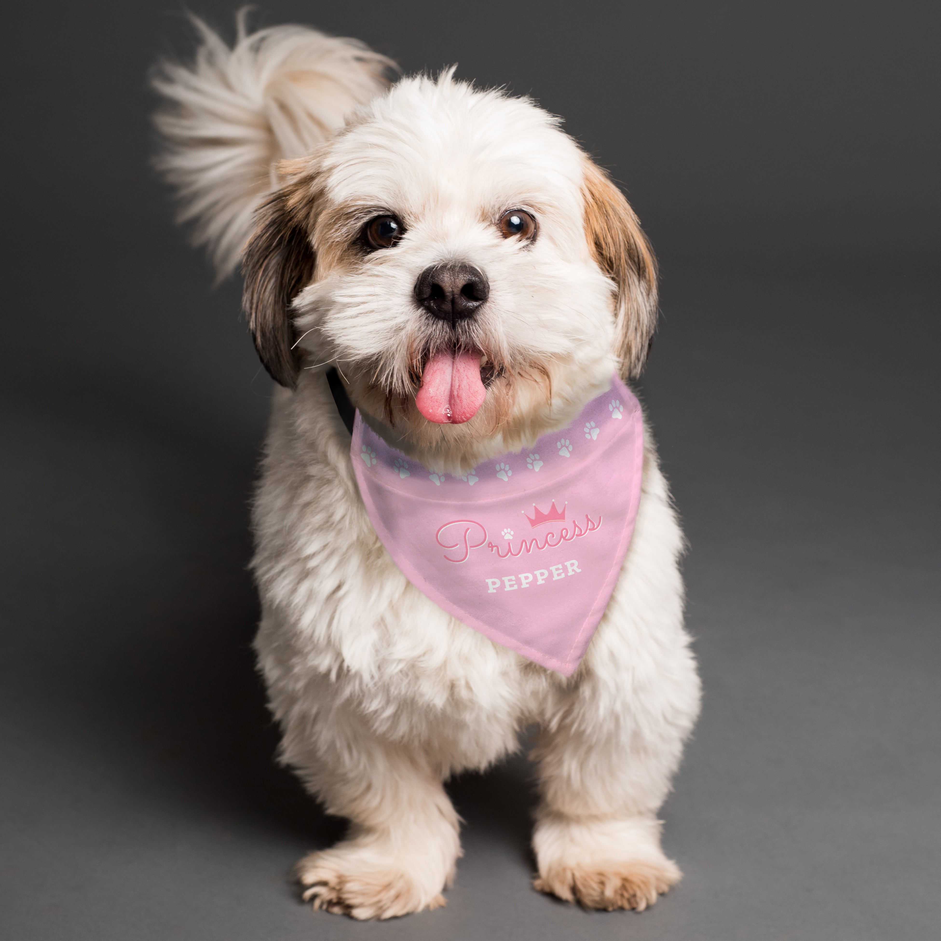 Personalised Princess Dog Bandana